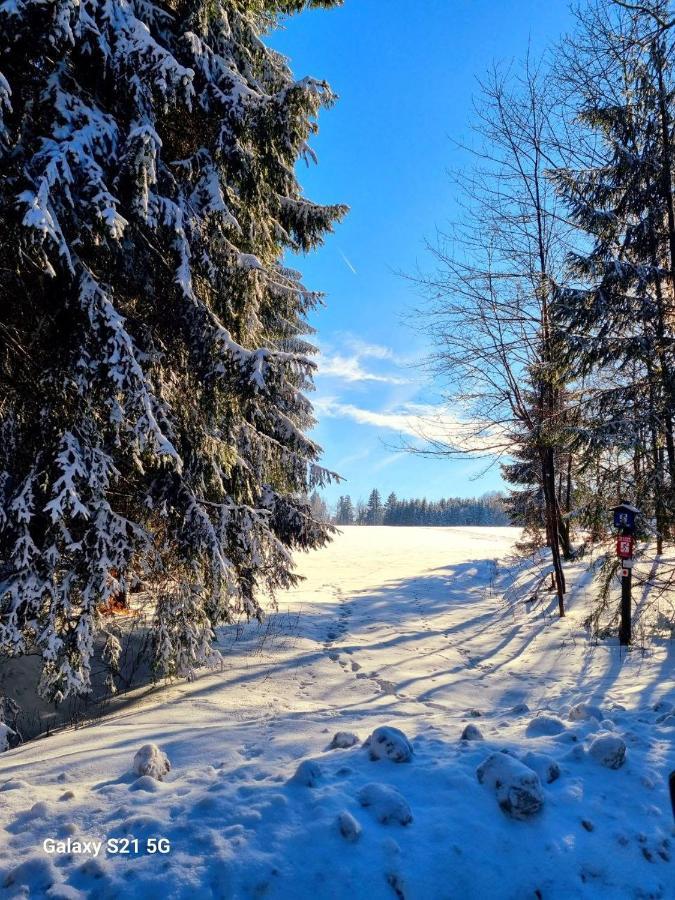 Ferienhaeuser Olbernhau Erzgebirge Экстерьер фото